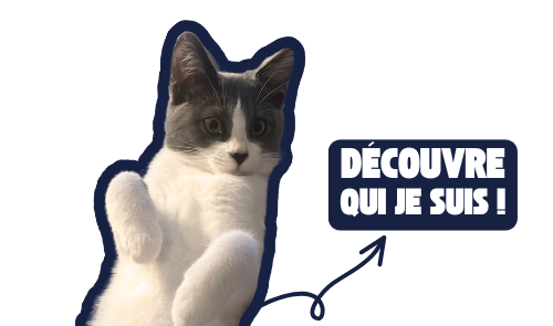 STICKERS OSI - Qui est-ce ?